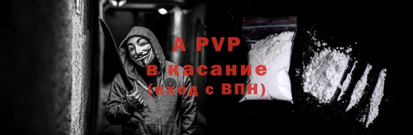 ГАЛЛЮЦИНОГЕННЫЕ ГРИБЫ Аркадак