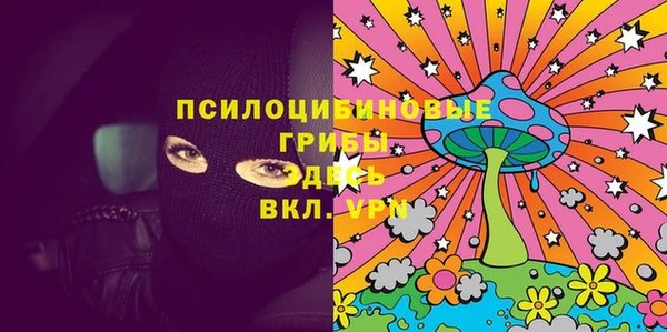 ГАЛЛЮЦИНОГЕННЫЕ ГРИБЫ Аркадак