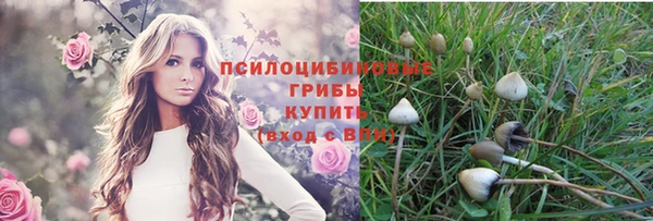 кокс Армянск