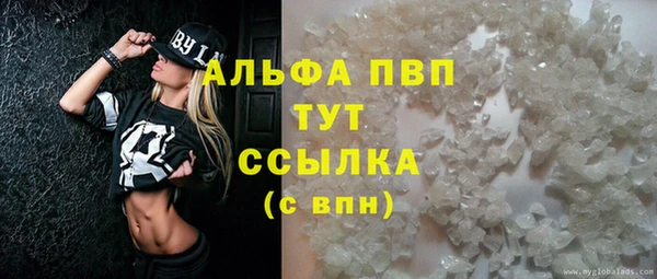 ГАЛЛЮЦИНОГЕННЫЕ ГРИБЫ Аркадак